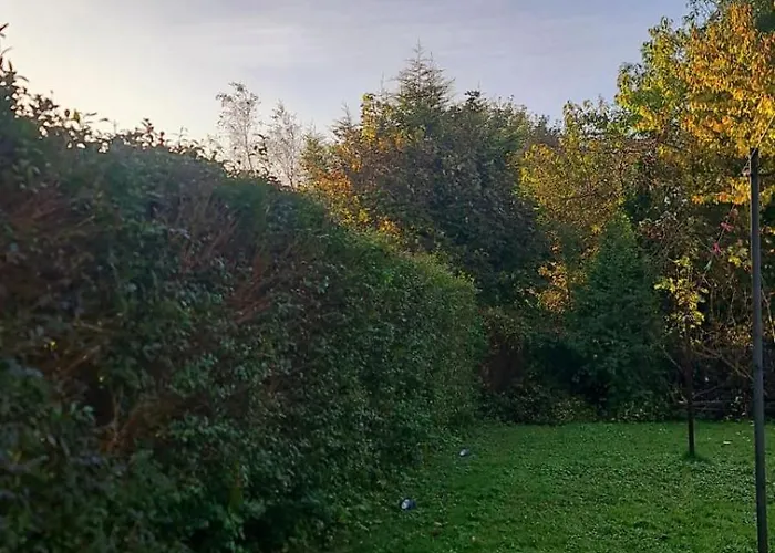 Entire House, Free Private Parking And Garden Ferienhaus Harrogate